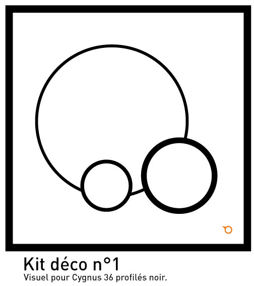 aquilohm-kits-d-coration-radiateur-r-gulus-cygnus-36 image 2