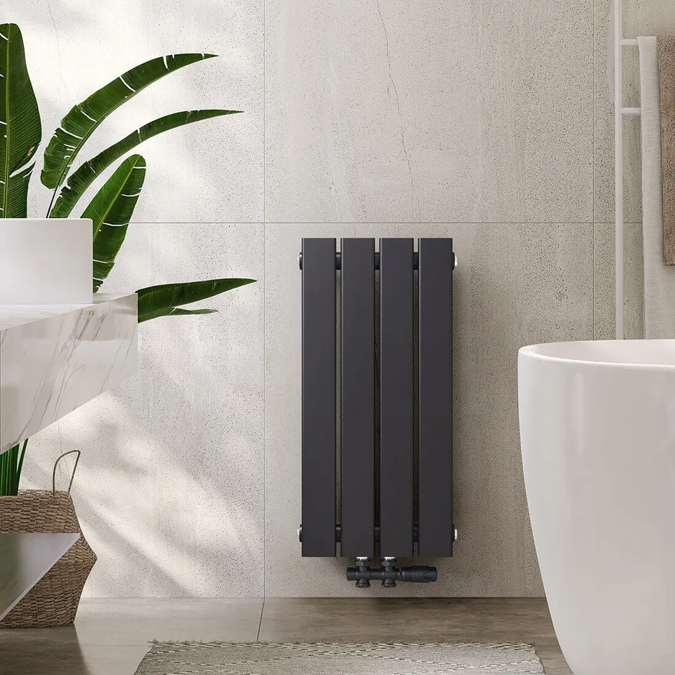 emke-radiateur-eau-chaude-anthracite-60x30-monocouche image 1